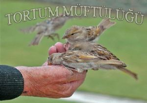 Müftülükten örnek girişim